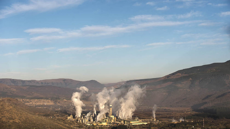 Does our thirsty forestry industry need a radical rethink about use of resources?