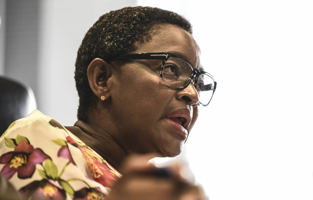 Dlamini says ‘work streams’ appointed themselves