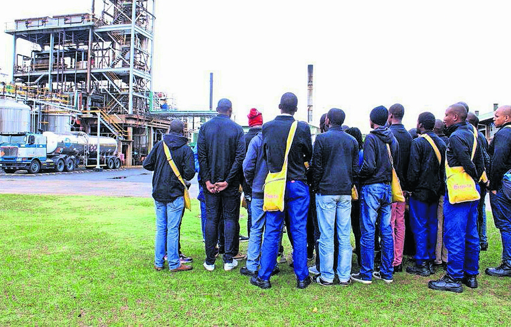 TVET colleges can help municipalities weather climate change