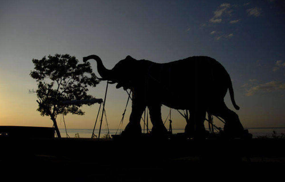 Andries Botha’s elephant sculptures to be completed at last