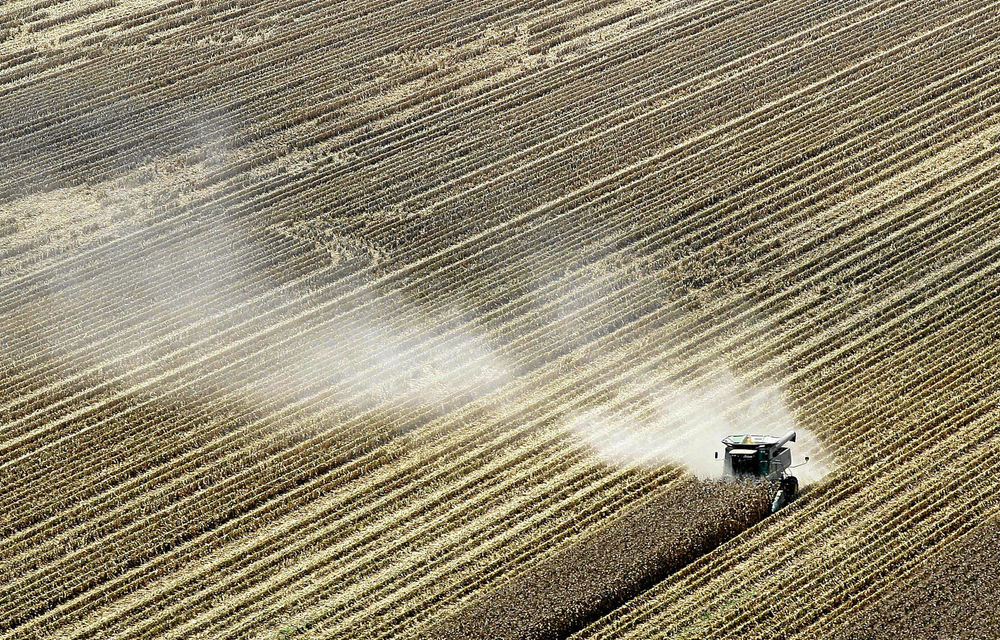 La Niña determines predictions for the oilseed and grains harvest
