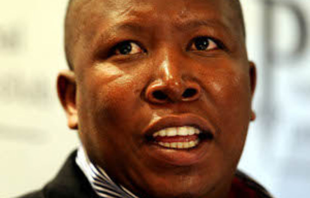 Support For Malema Is On The Wane