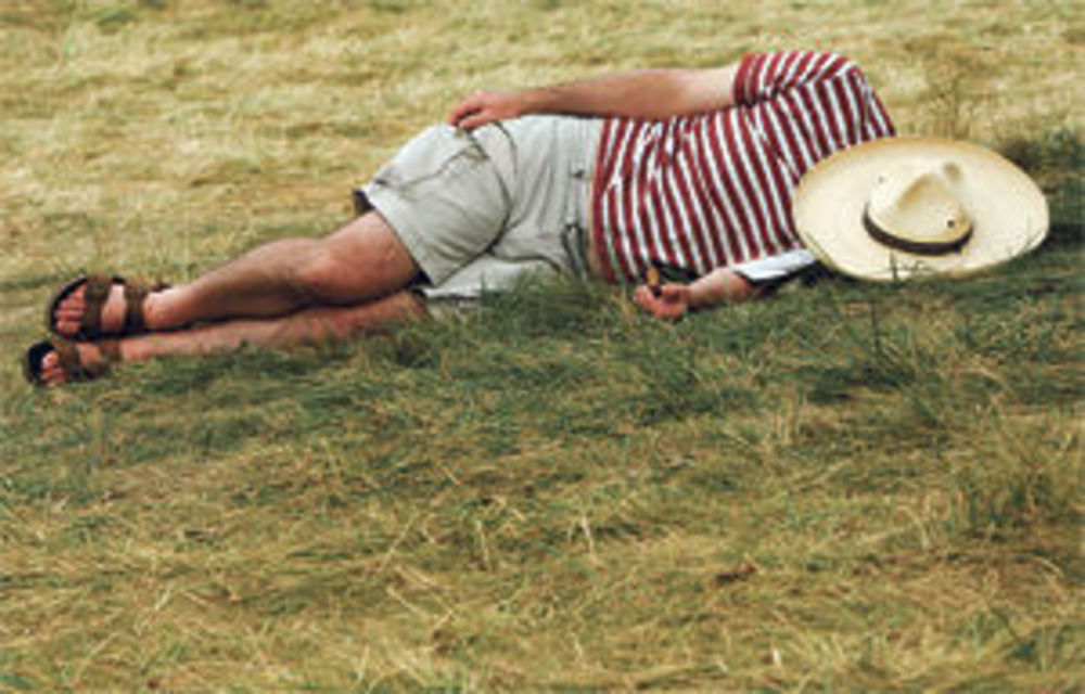 Snatching 40 winks