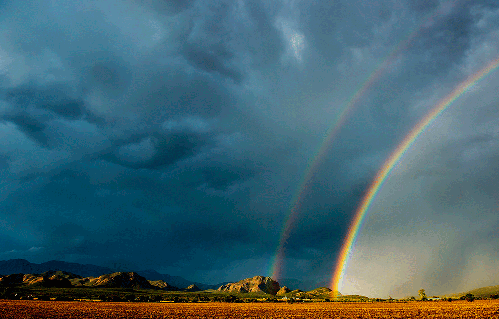 The rainbow is dead – beware the fire, SA