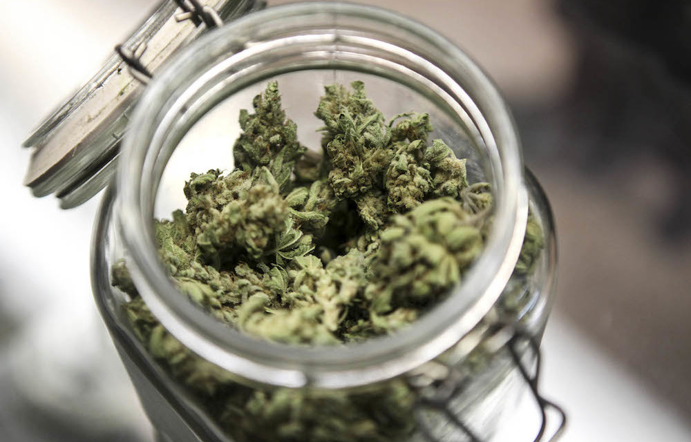 Legalising the cannabis economy takes a Covid-19 hit