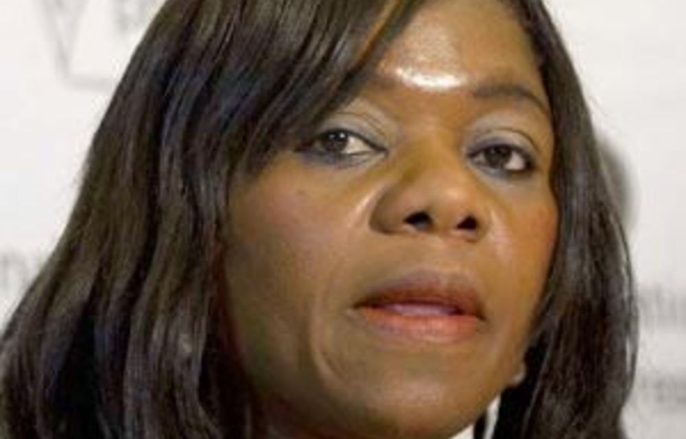 Public protector declines call to probe secrecy Bill