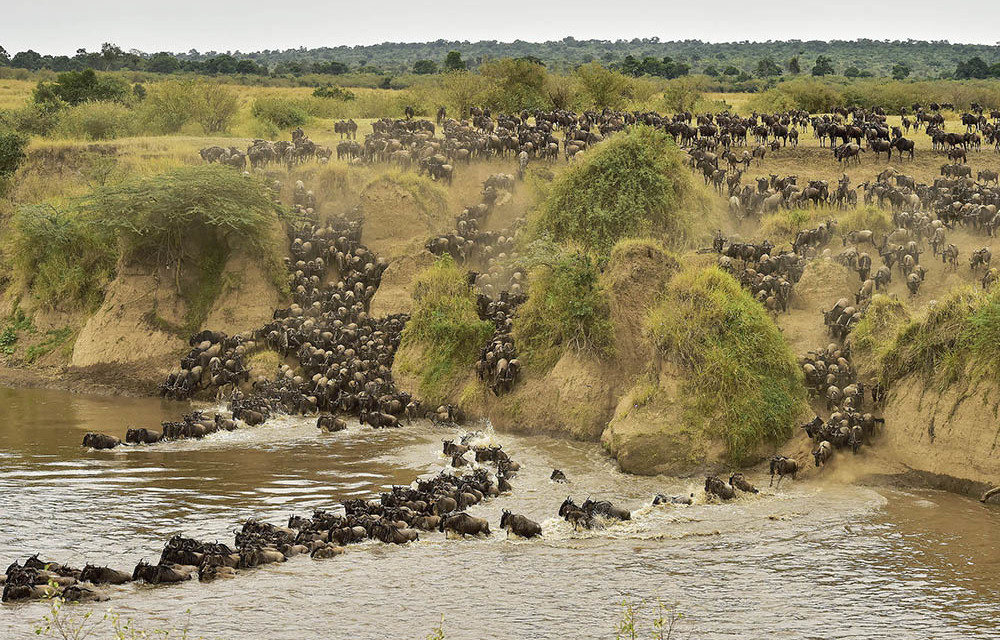 SA scientists reconstruct ancient ecosystems