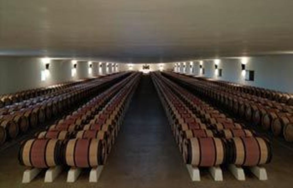 Million-dollar palate