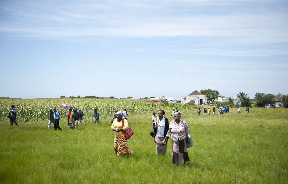 Mining watchdogs under attack