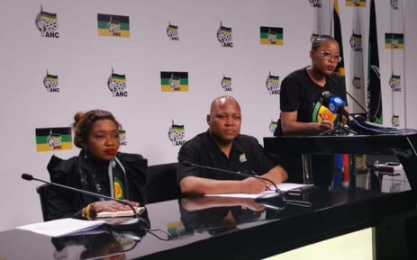 ANC’s national youth task team continues to spiral, with a member taking the party to court