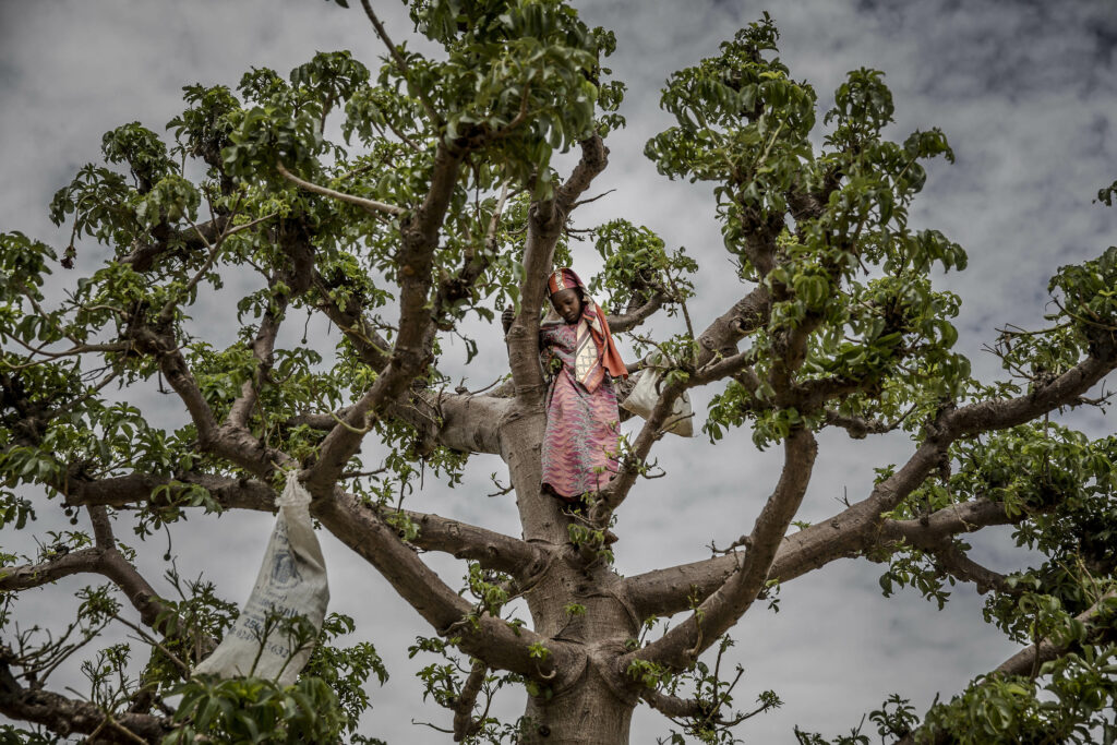 The West owes Africa $100bn (at least) for climate recovery