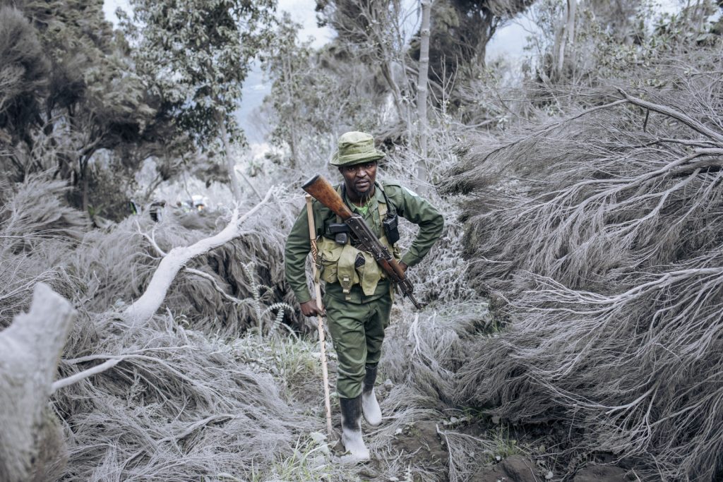 Save Africa from conservationists
