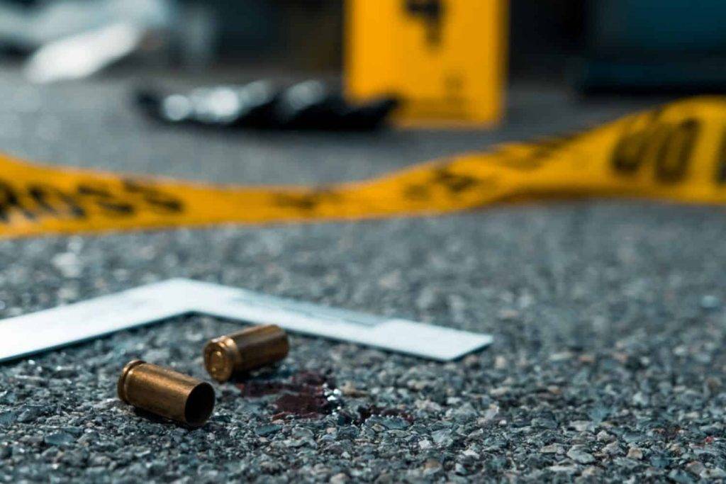 Killing of Witness D casts doubt on state’s ability to protect those testifying at Madlanga commission