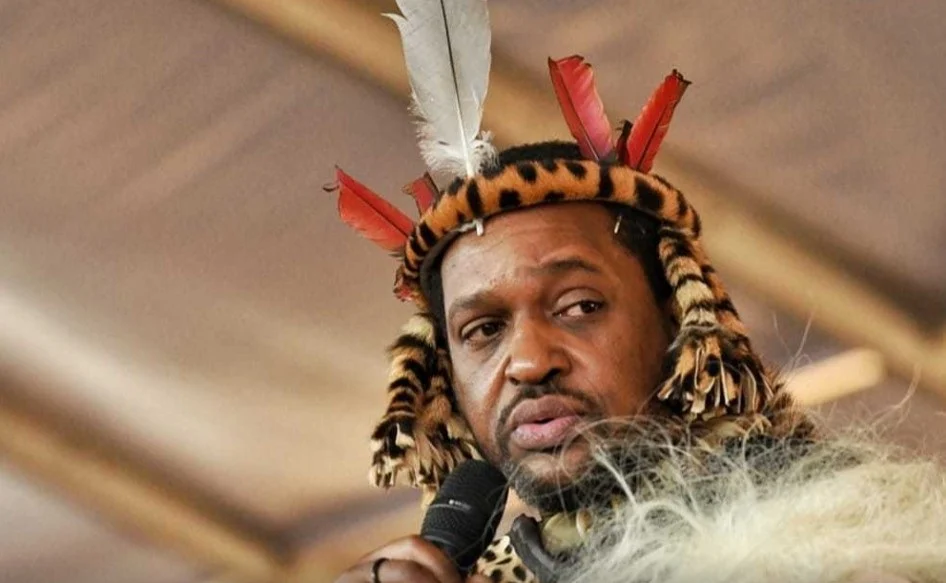 Misuzulu, Buthelezi tensions could bite Inkatha Freedom Party at polls