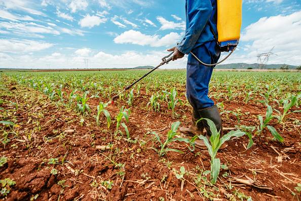Pesticides: Deadly for Europeans, but okay for Africans to use