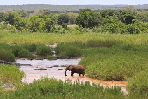 SA needs ‘Kruger Park and a bit’ annually to meet global conservation target