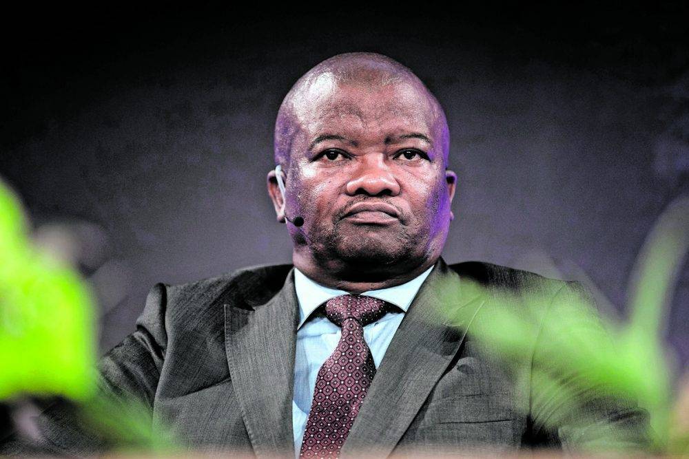 Holomisa to stand as UDM Eastern Cape premier candidate