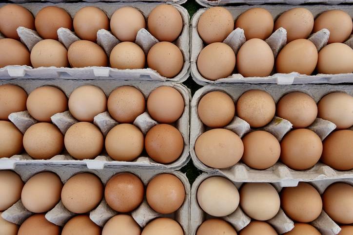 Egg and poultry meat supply is steadily increasing after bird flu outbreak, says agriculture department