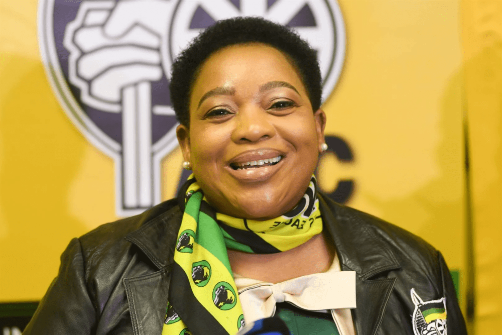 KwaZulu-Natal to get crime wardens, says Premier Nomusa Dube-Ncube