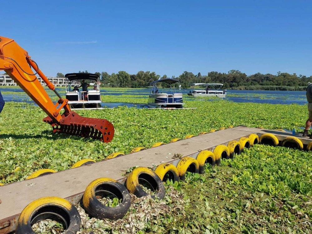 State sets up task team to advise on water lettuce clogging Vaal River