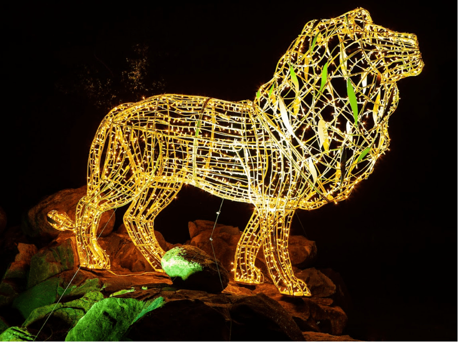 Embrace the magic of the season at carols at tree of light, sing-a-long, and more at the Joburg Zoo Festival of Lights