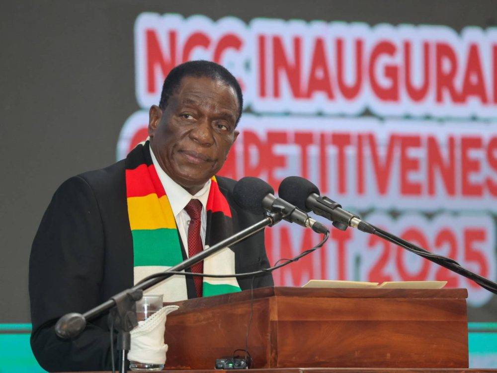 Will Mnangagwa actually step down? Some in his own party are sceptical