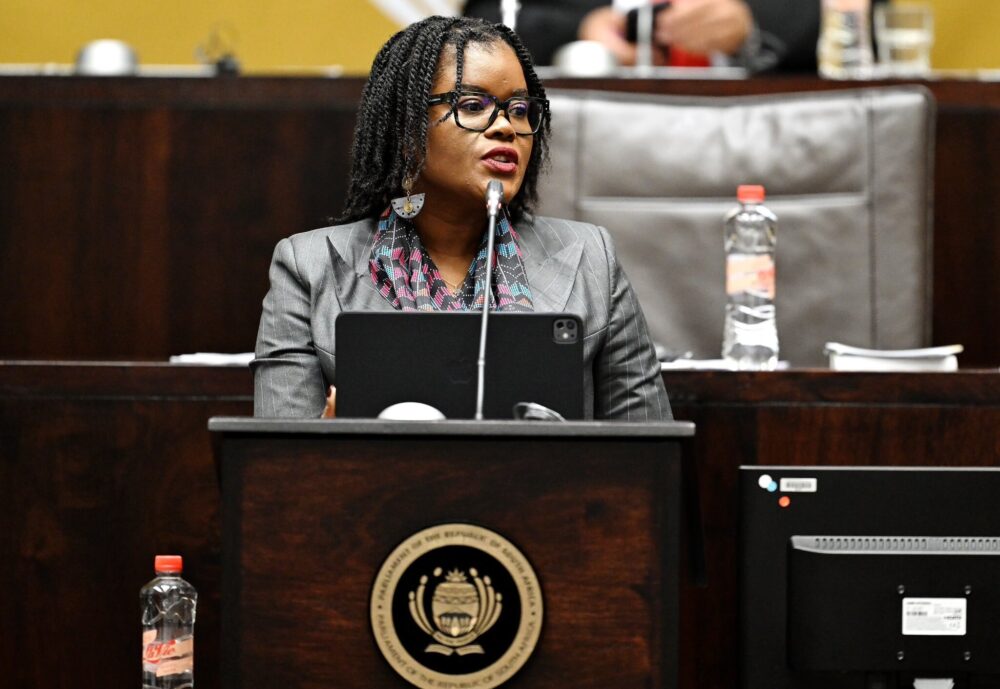 DA to support departmental budgets after Nobuhle Nkabane’s axing