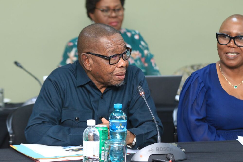 ‘Turn crisis into opportunity,’ say African health leaders