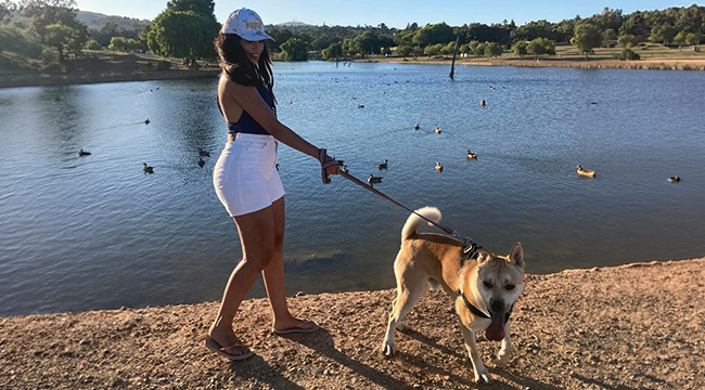 Mrs SA semi-finalists: Pet parents who lead with purpose and compassion