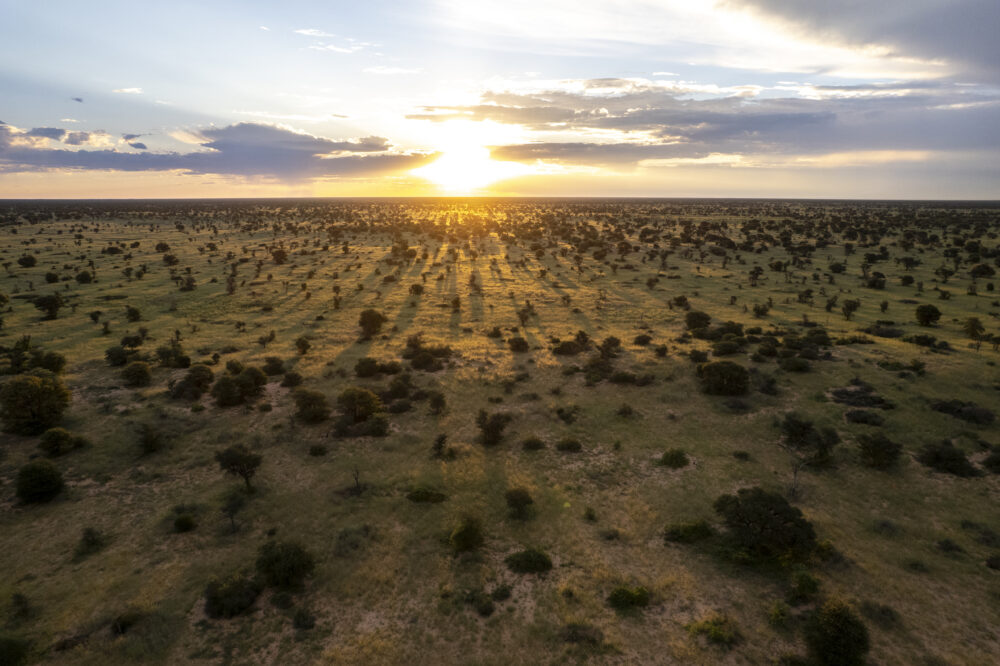Sunsetoverthegrasslandsofkgalagaditransfrontierpark,botswana.©mikedexter
