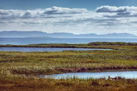 The cheapest climate defence we have is in the ground